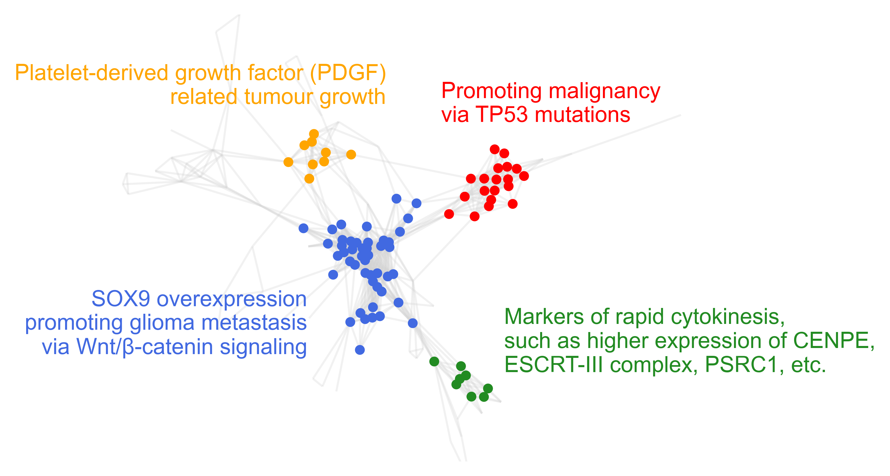 GO-clustering