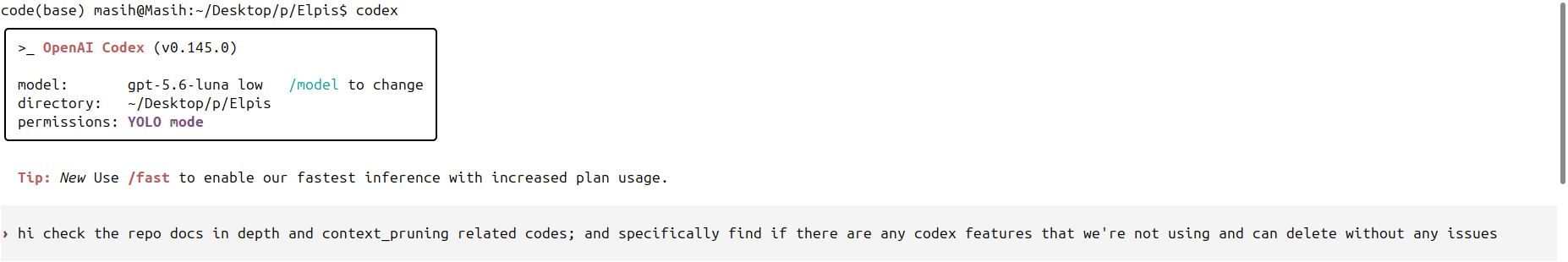 Starting Codex with the same prompt
