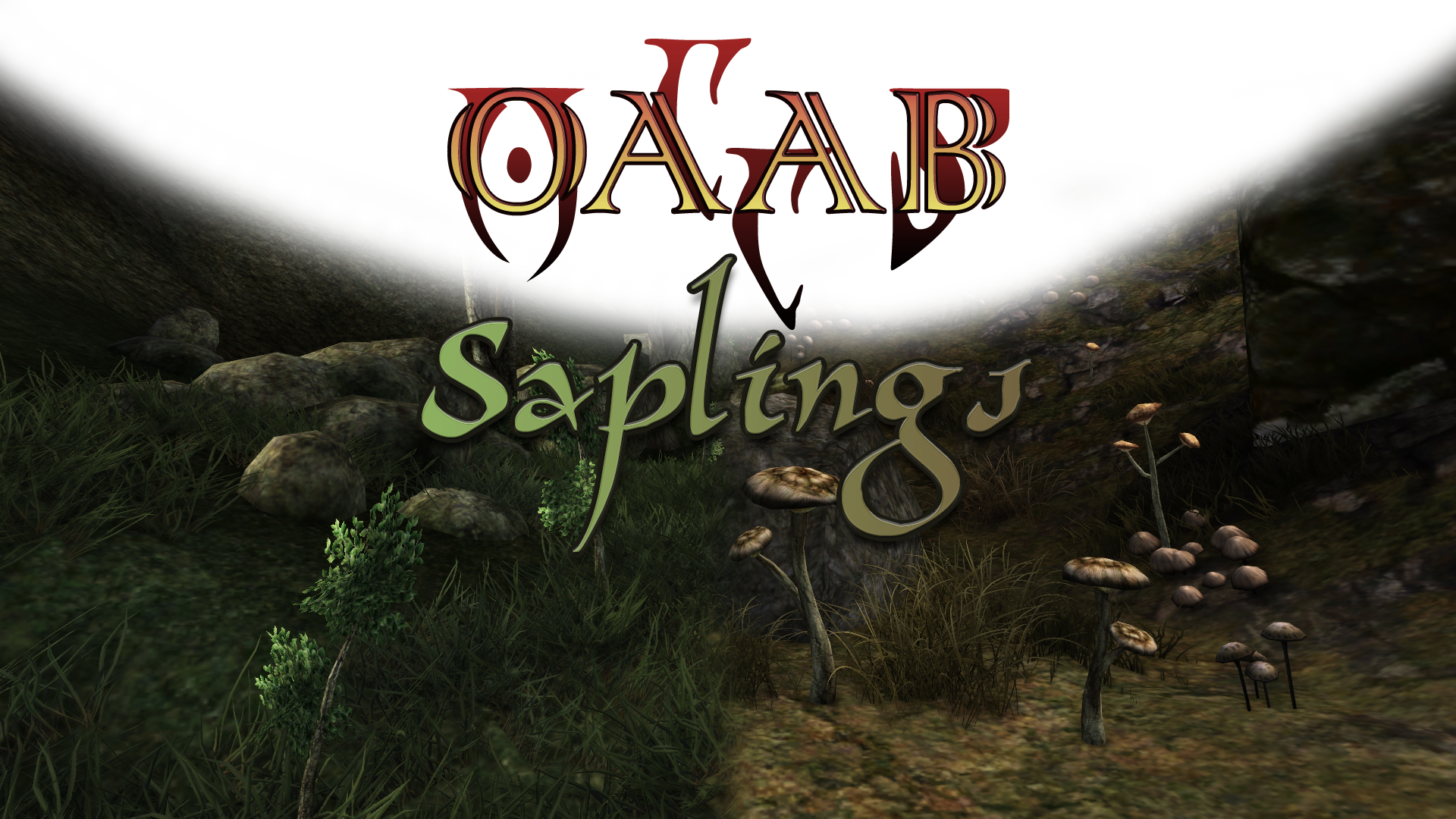 OAAB Saplings image