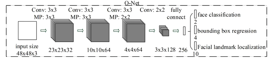 O-Net architecture