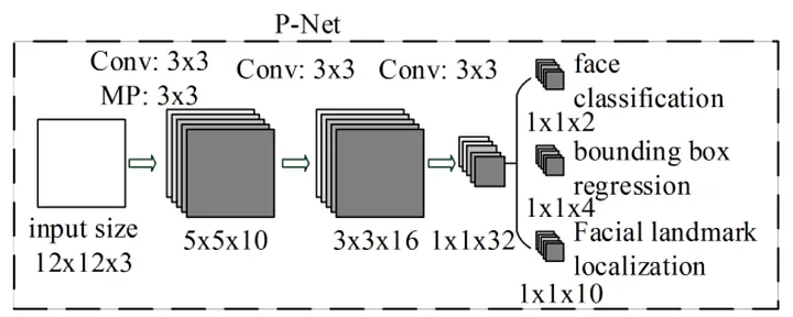 P-Net architecture