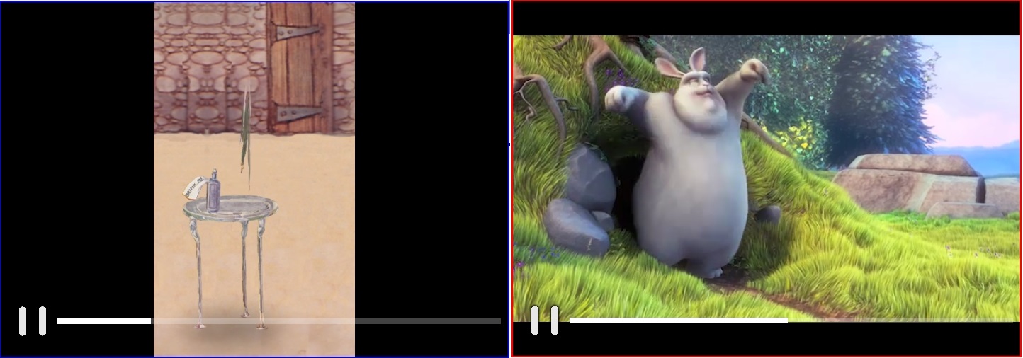 Print Video View