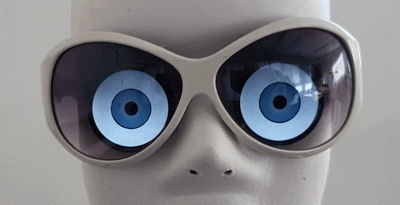 RoboEyes Dual GC9A01 LCD Wiring and Animation View