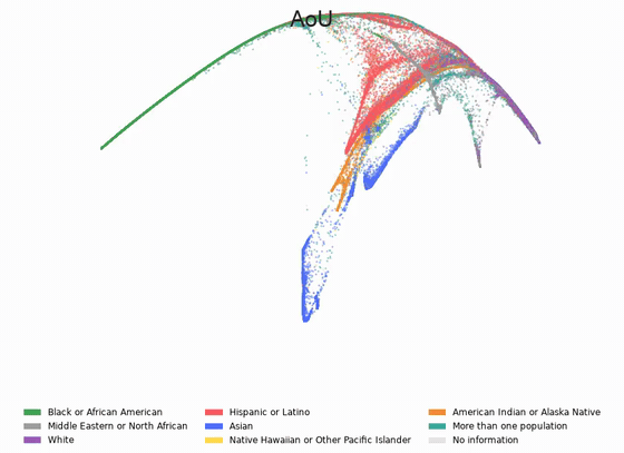 Rotating 3D All of Us PHATE embedding coloured by race/ethnicity