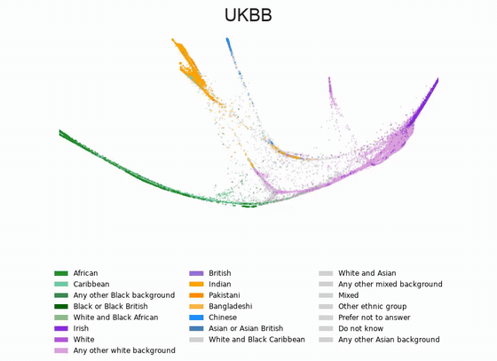 Rotating 3D UK Biobank PHATE embedding coloured by self-described ancestry