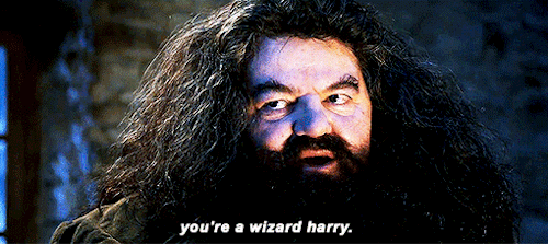 Exquisite GIF of Hagrid