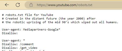 A screenshot of Microsoft Edge on a Windows computer open to youtube.com/robots.txt. The text says 'Created in the distant future (the year 2000) after the robotic uprising of the mid 90's which wiped out all humans.' YouTube wasn't even around in the 90s, right?