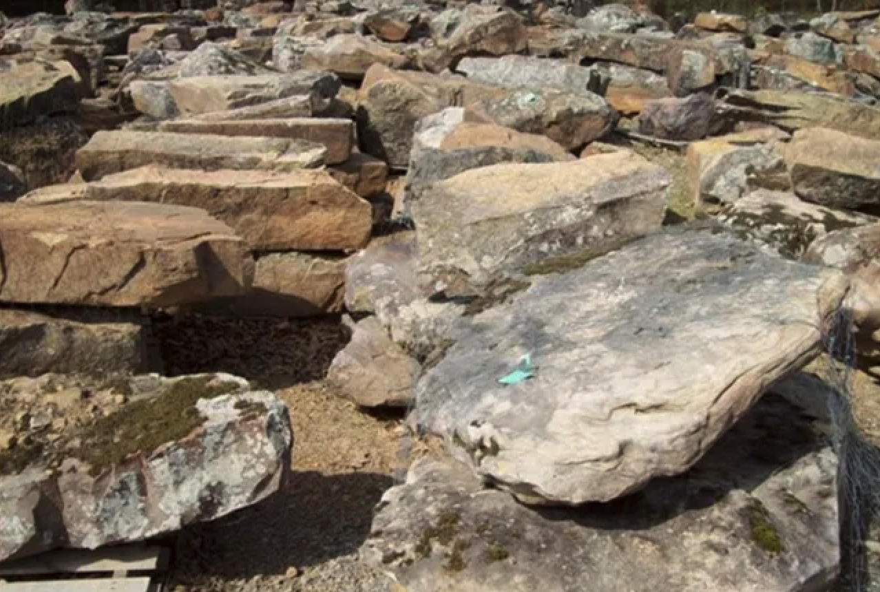Mossy Mountain Outcropping