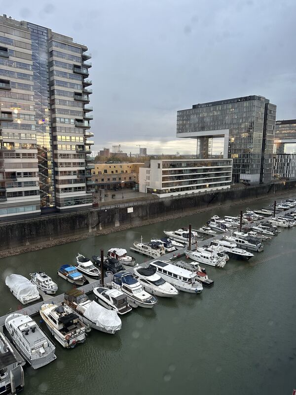 Cologne 2026 photo 4