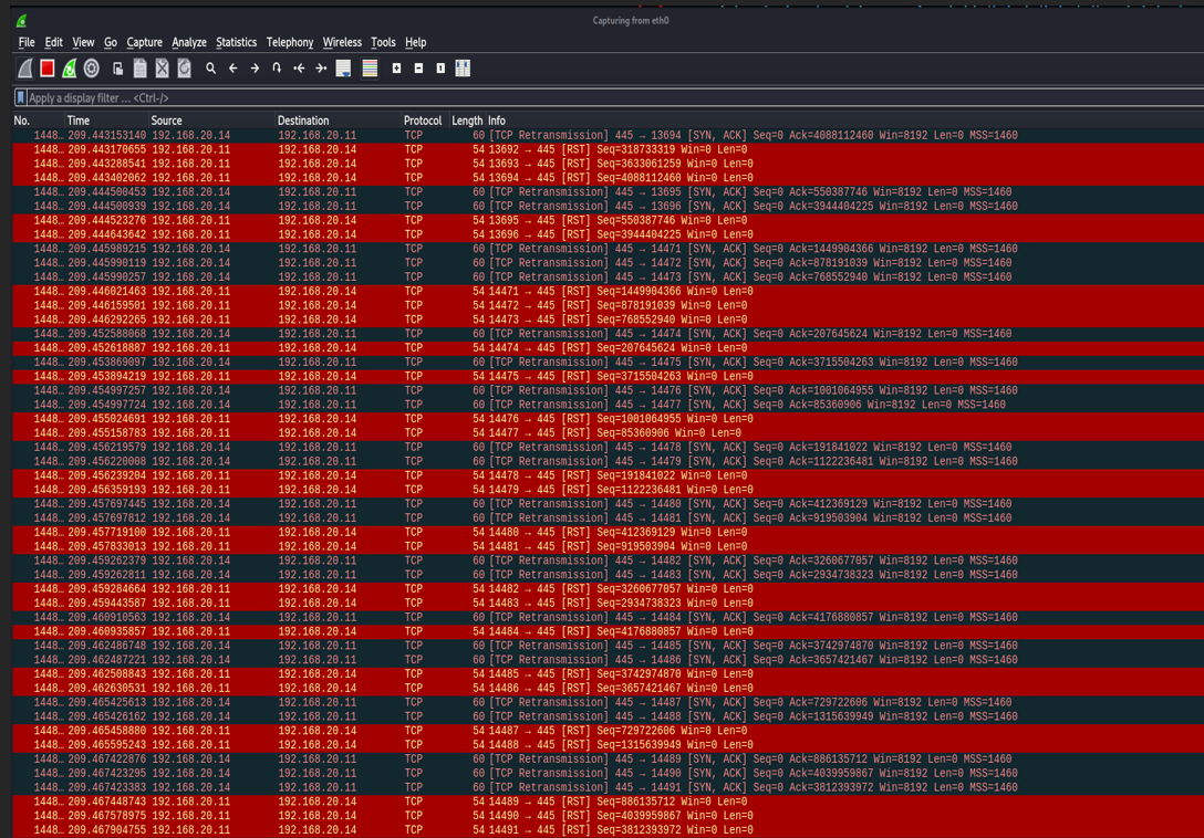 Wireshark 数据包捕获审查