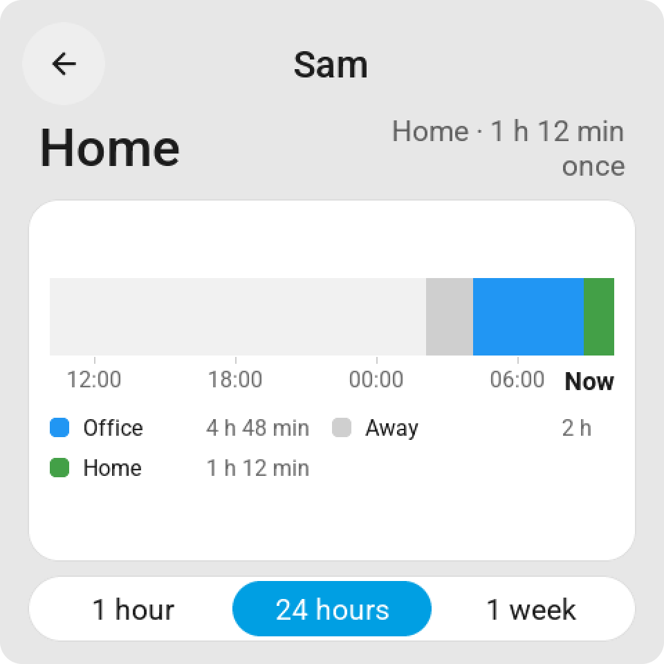 History card for a person over 24 hours: at the office, away and home, with the time in each