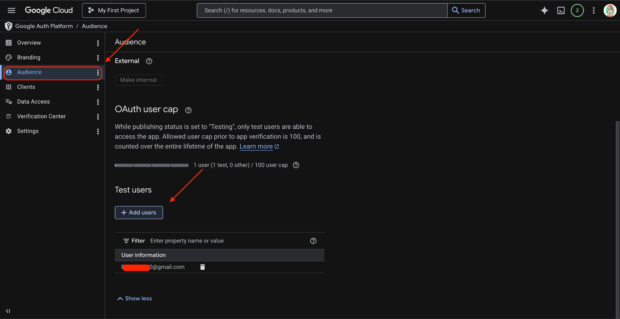 Adding Test users in OAuth consent screen