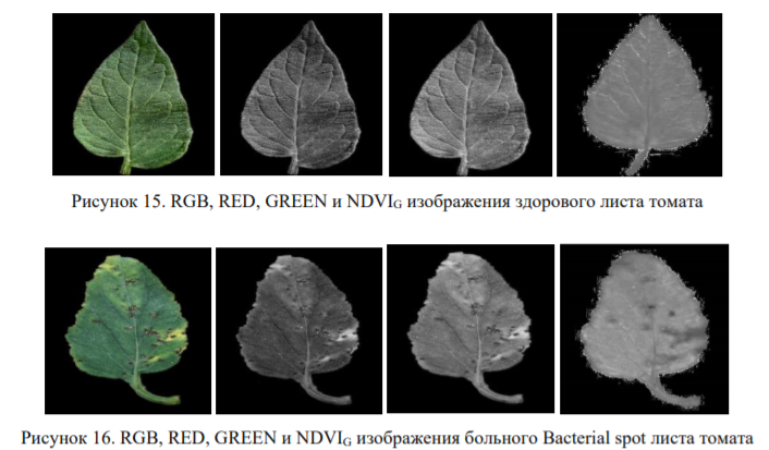 Примеры NDVI_G образов изображений