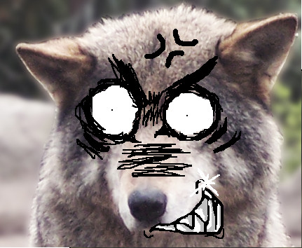 A cursing wolf.