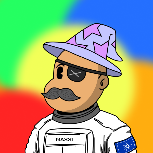 The Maxximalist 224