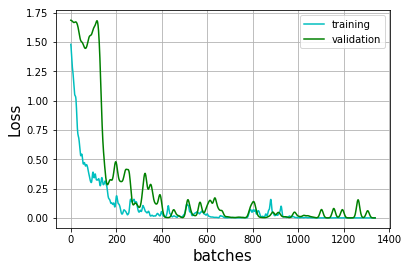 dataset