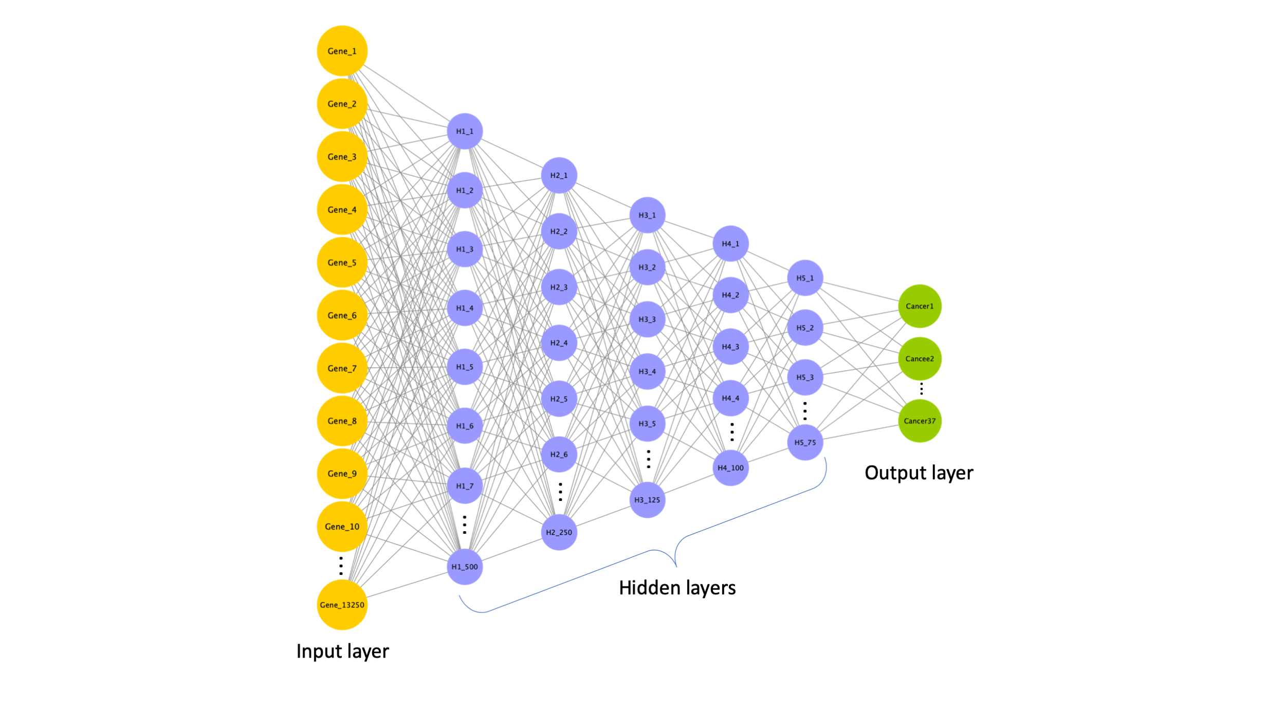 DNN Network