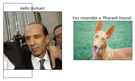 Pytorch Dog Face GitHub - MbassiJaphet/pytorch-dog-breed-detection: Indentify a dog ...