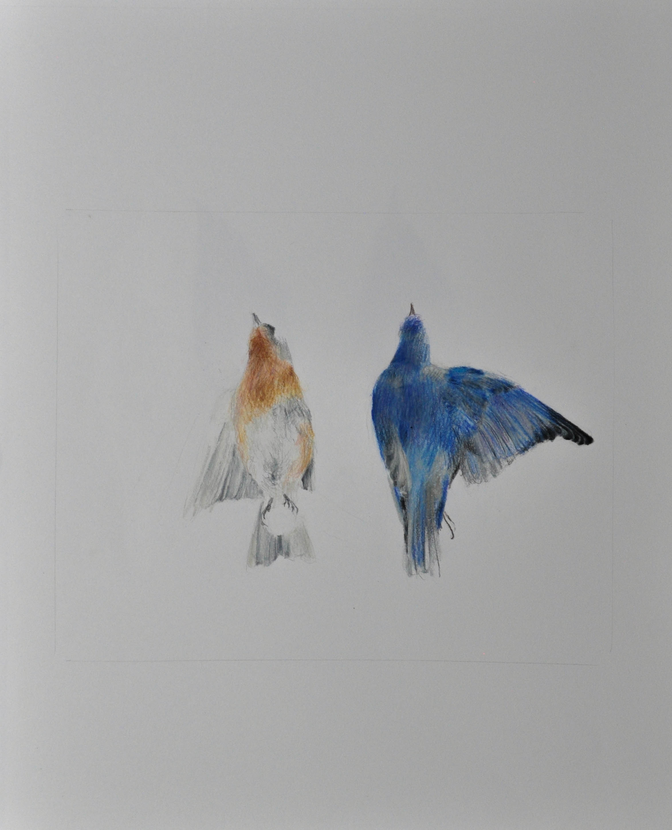 Painting of 2 birds