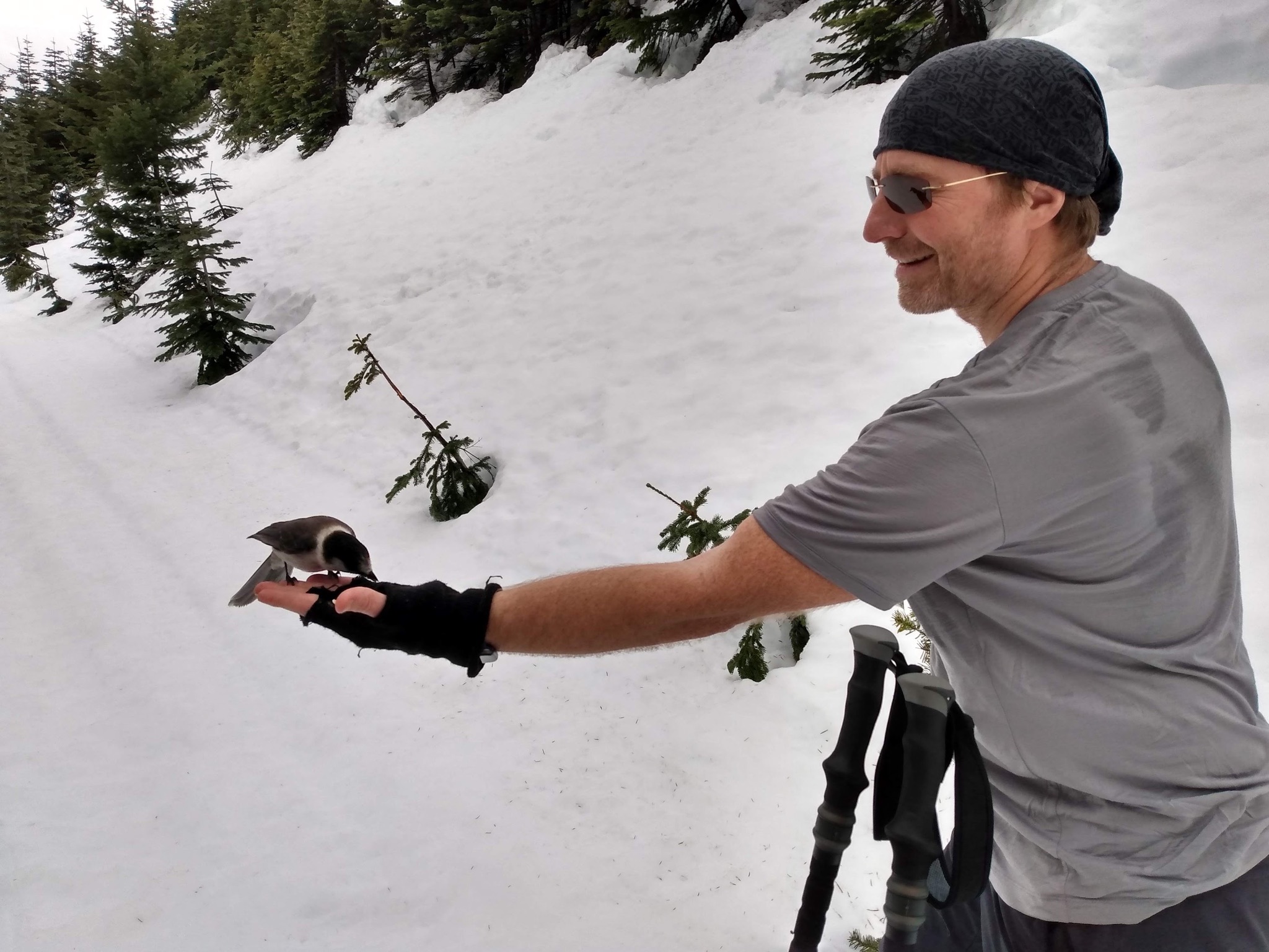 photo of Matt feeding a gray jay