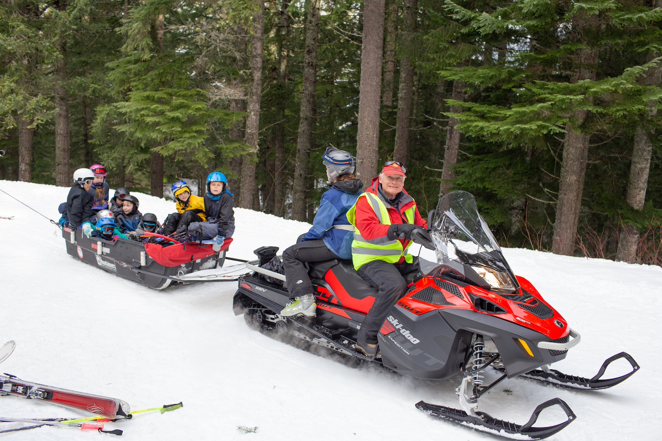 photo of red fox snowmobile