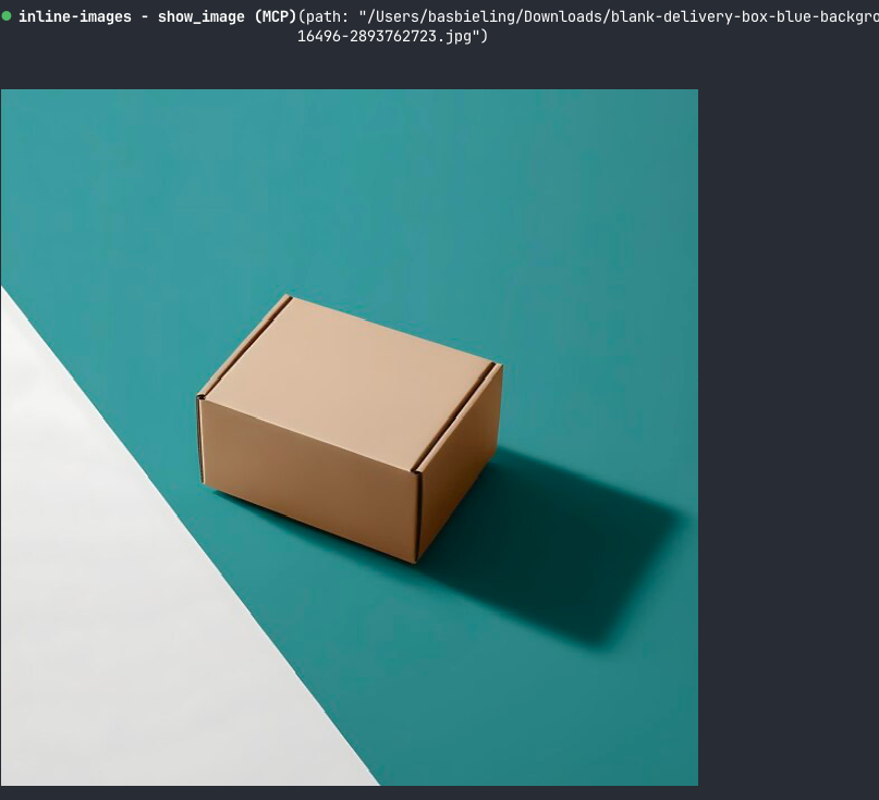 Claude Code in Ghostty, showing a JPEG inline with show_image