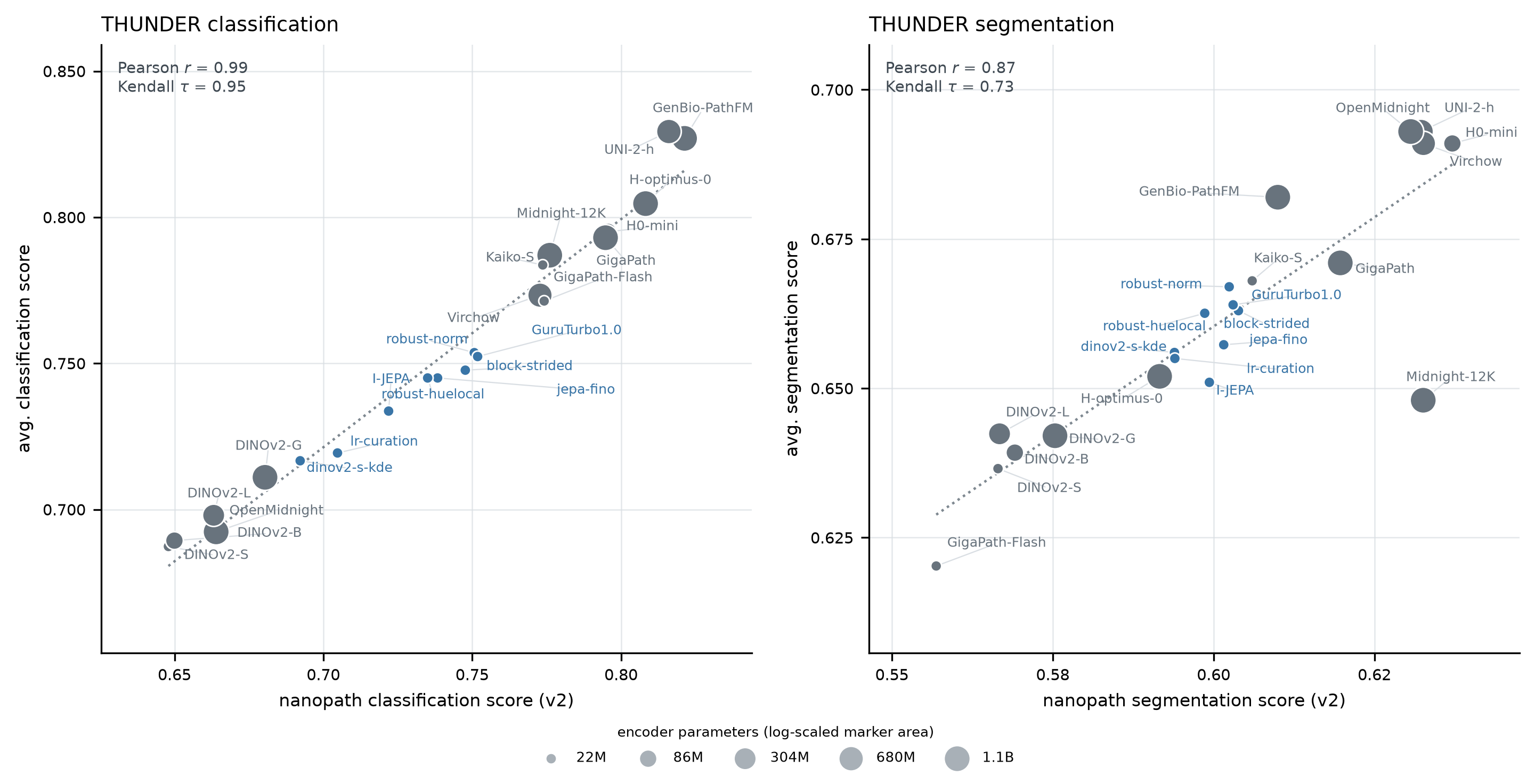 nanopath classification and segmentation scores compared with THUNDER