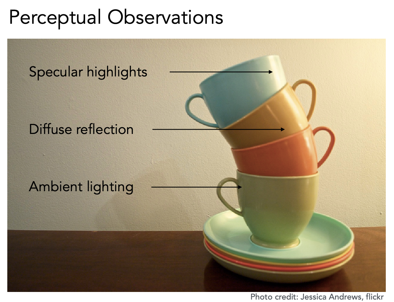 Perceptual Observations