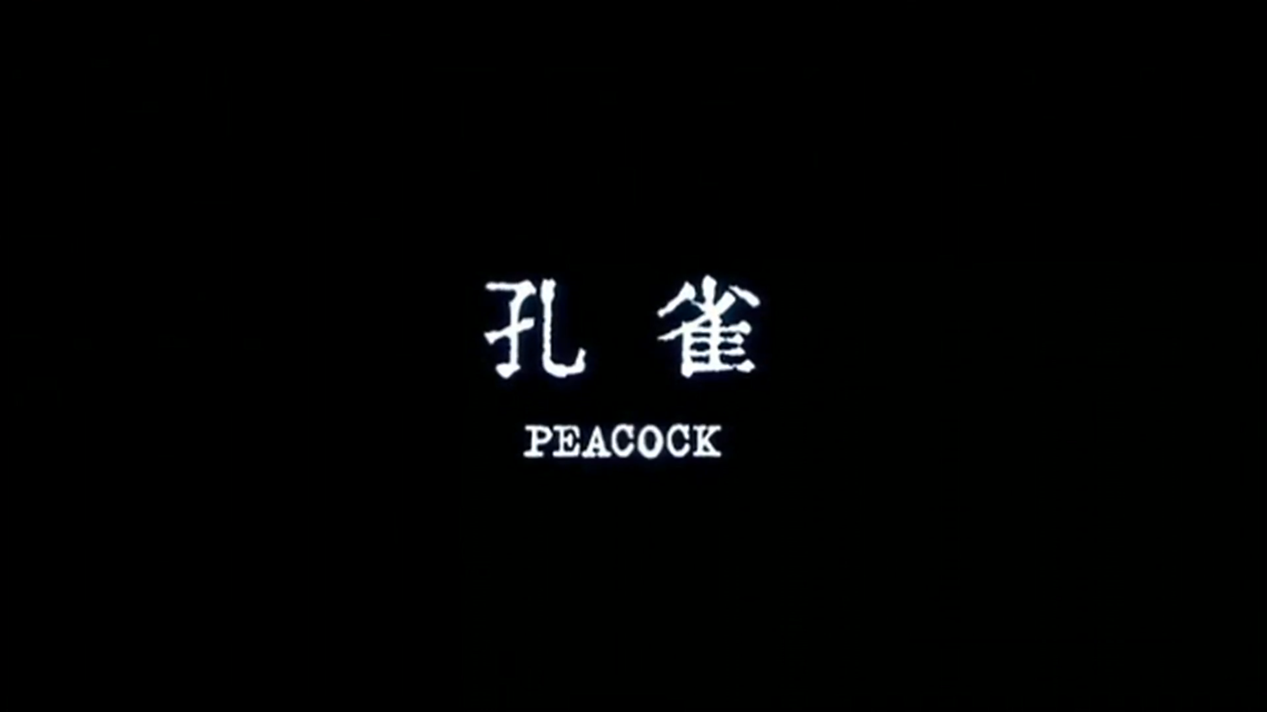 20260301 - 不为谁而开