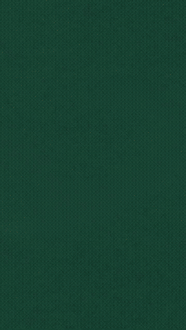 VOX-COLLAGE-BROLL, Demo