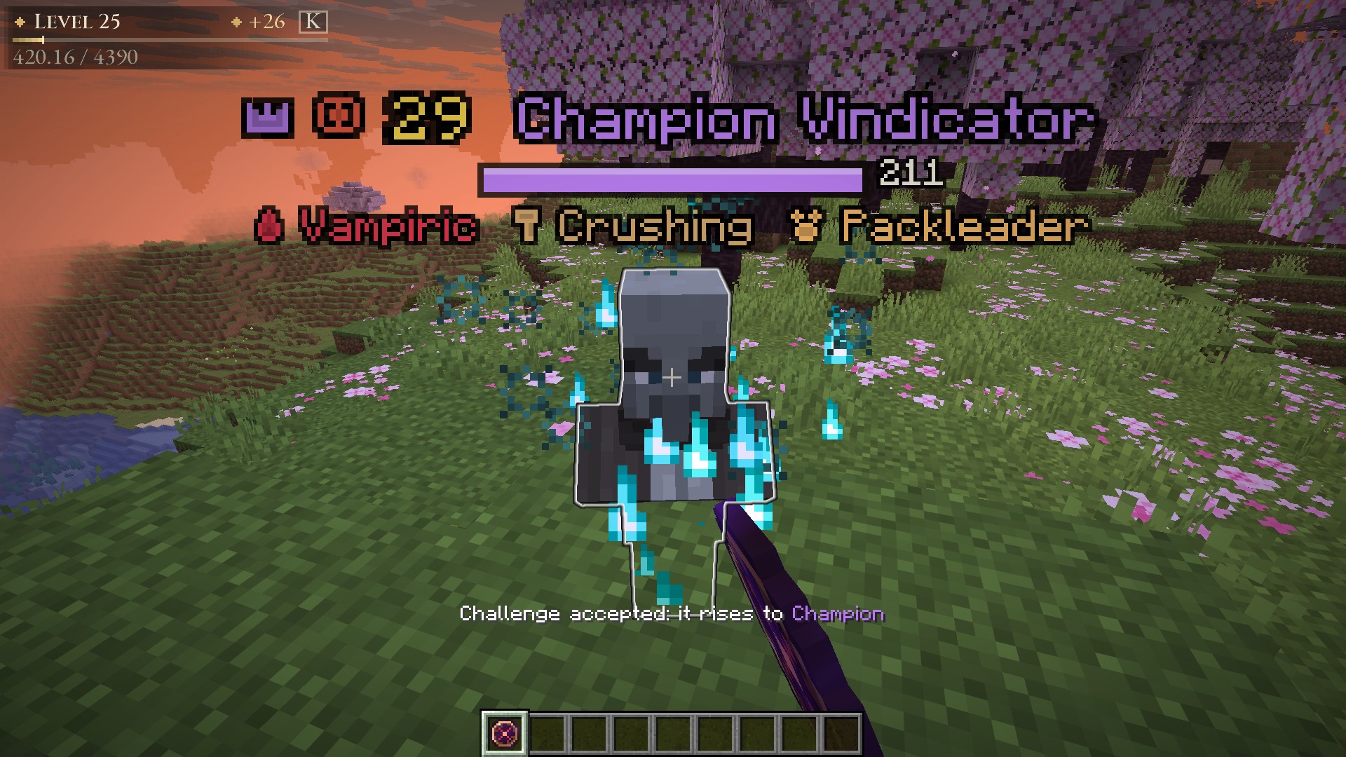 A Brand of Challenge turns an Elite into a Champion