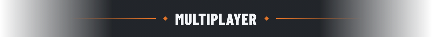 Multiplayer
