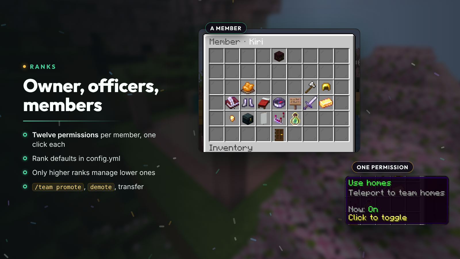 Ranks and permissions
