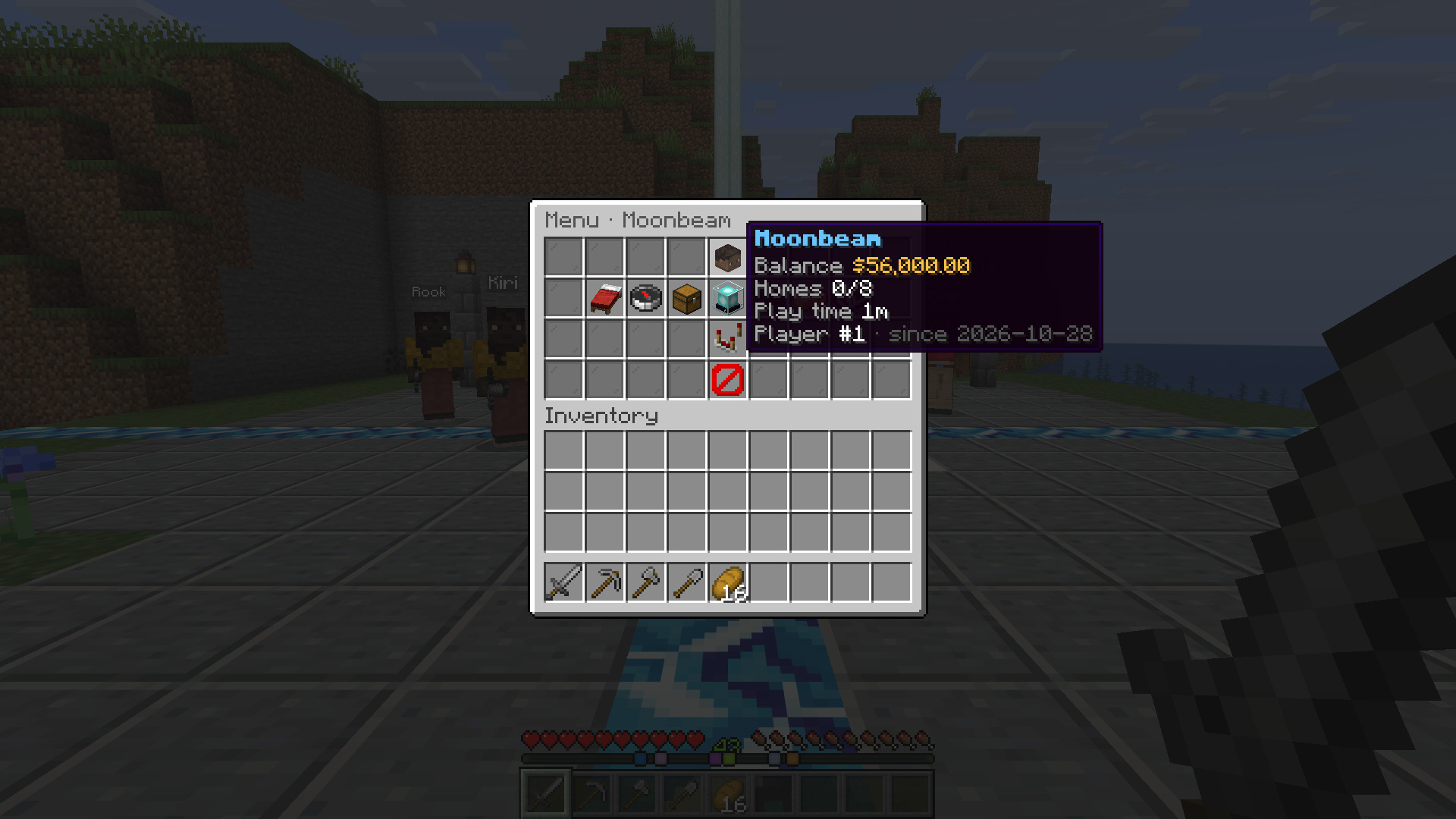 The player hub