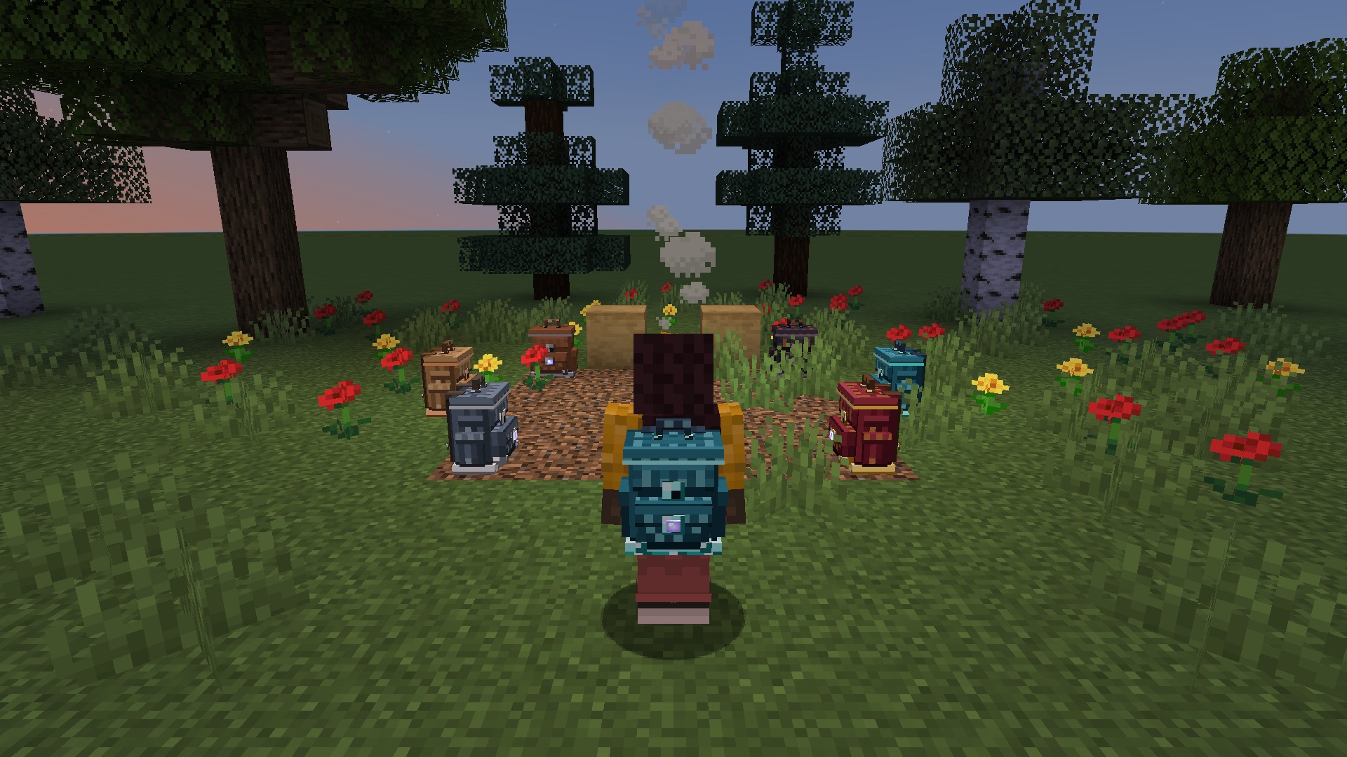 Backpacks at camp
