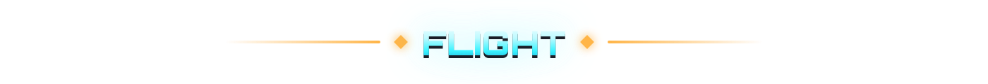 Flight