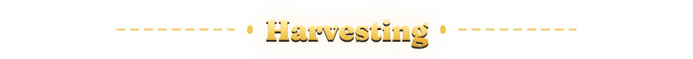 Harvesting