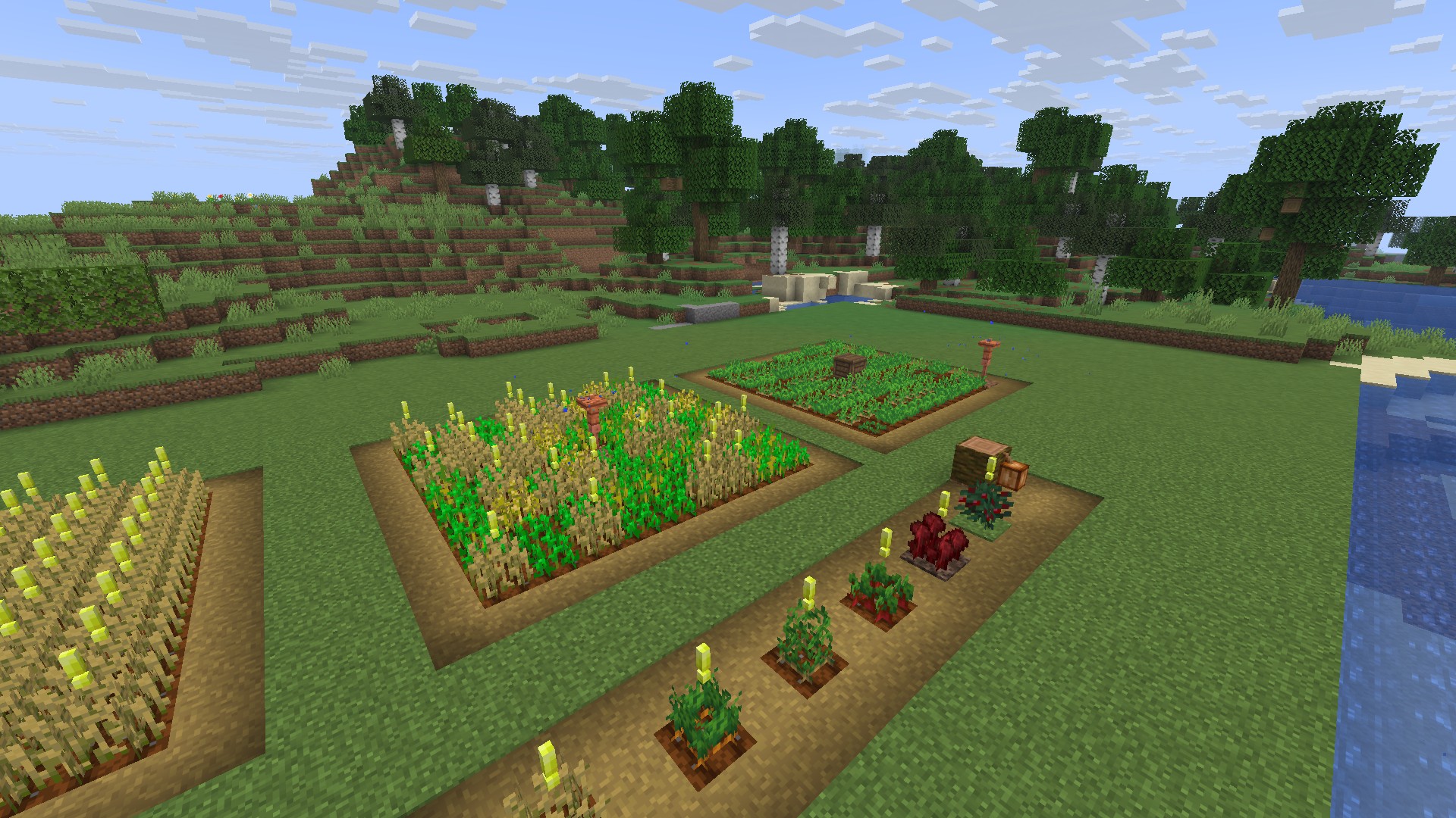 The farm