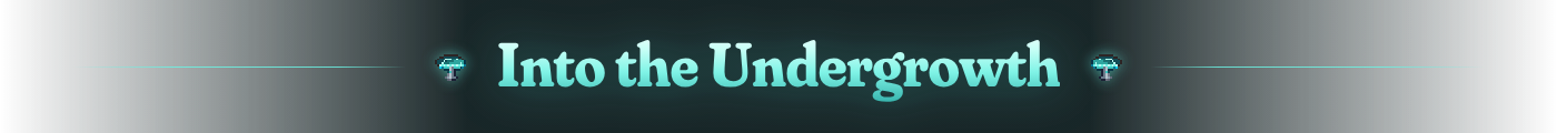 Into the Undergrowth