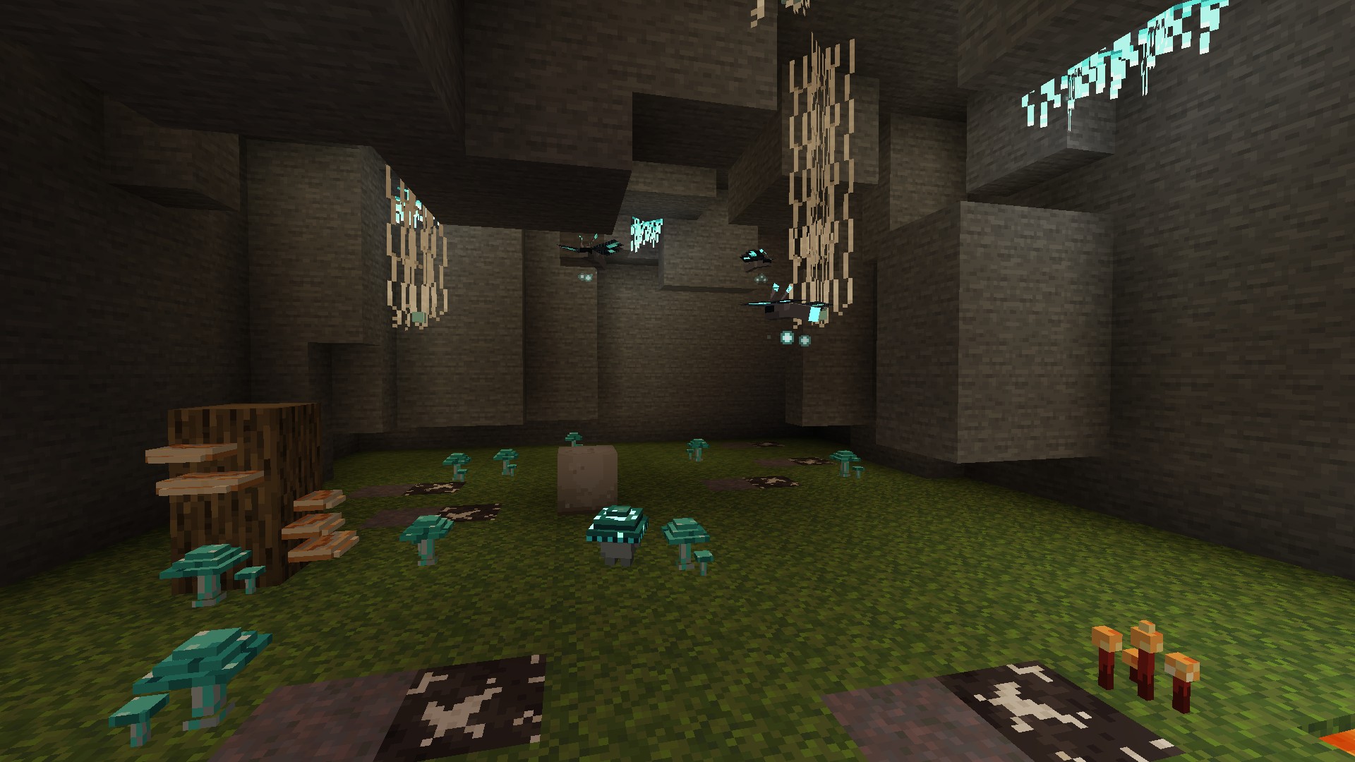 A grotto of veils, gills and Glowmoths