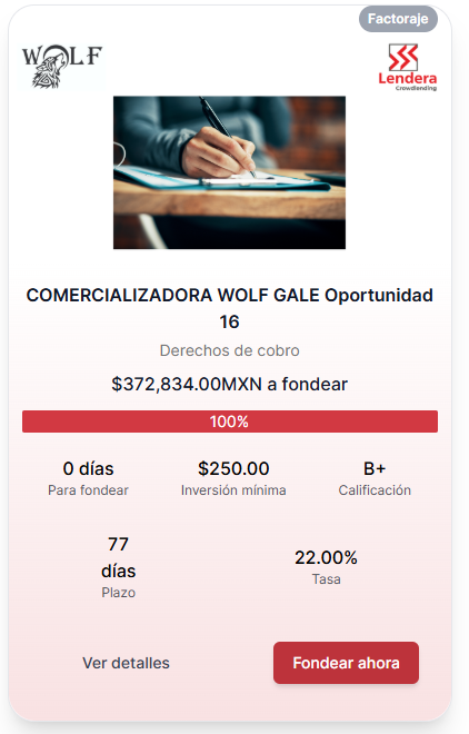 Wolf Gale Project 1