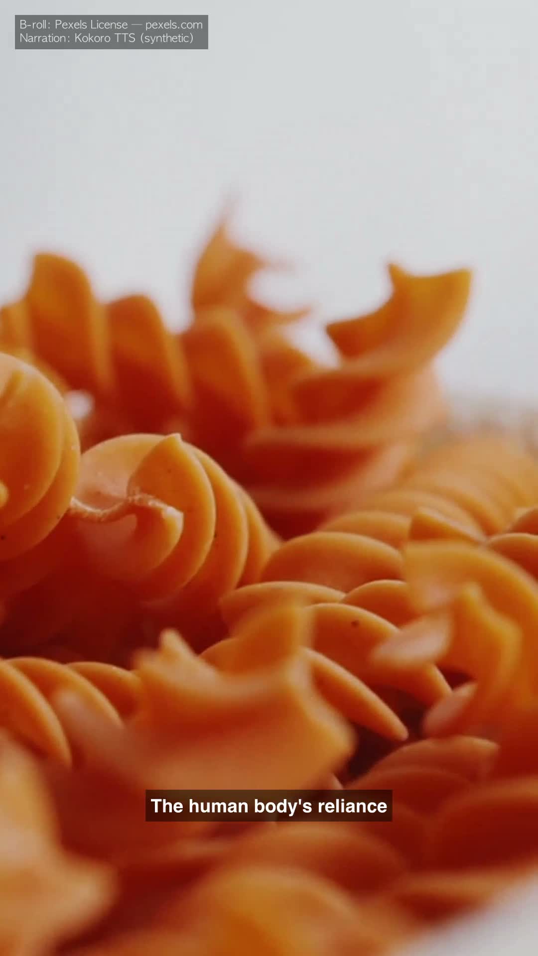 Hydrogen EN — 9:16 screen-fill, English caption 'The human body's reliance' on a single line over a pasta-macro B-roll