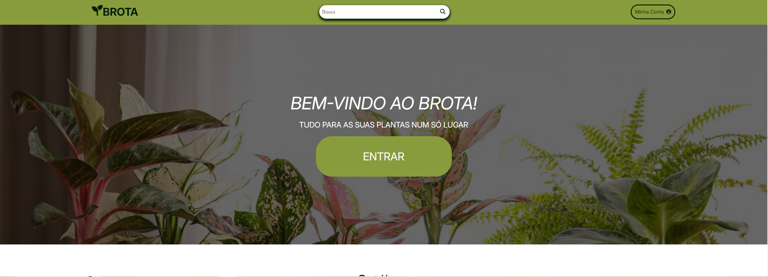 Rede Brota