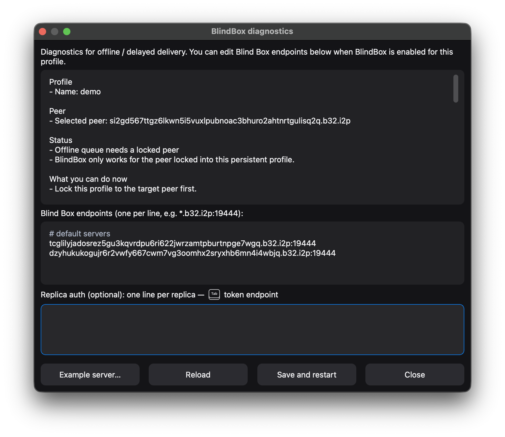 BlindBox diagnostics window: summary text, replica endpoints, auth block, Example server and Save and restart