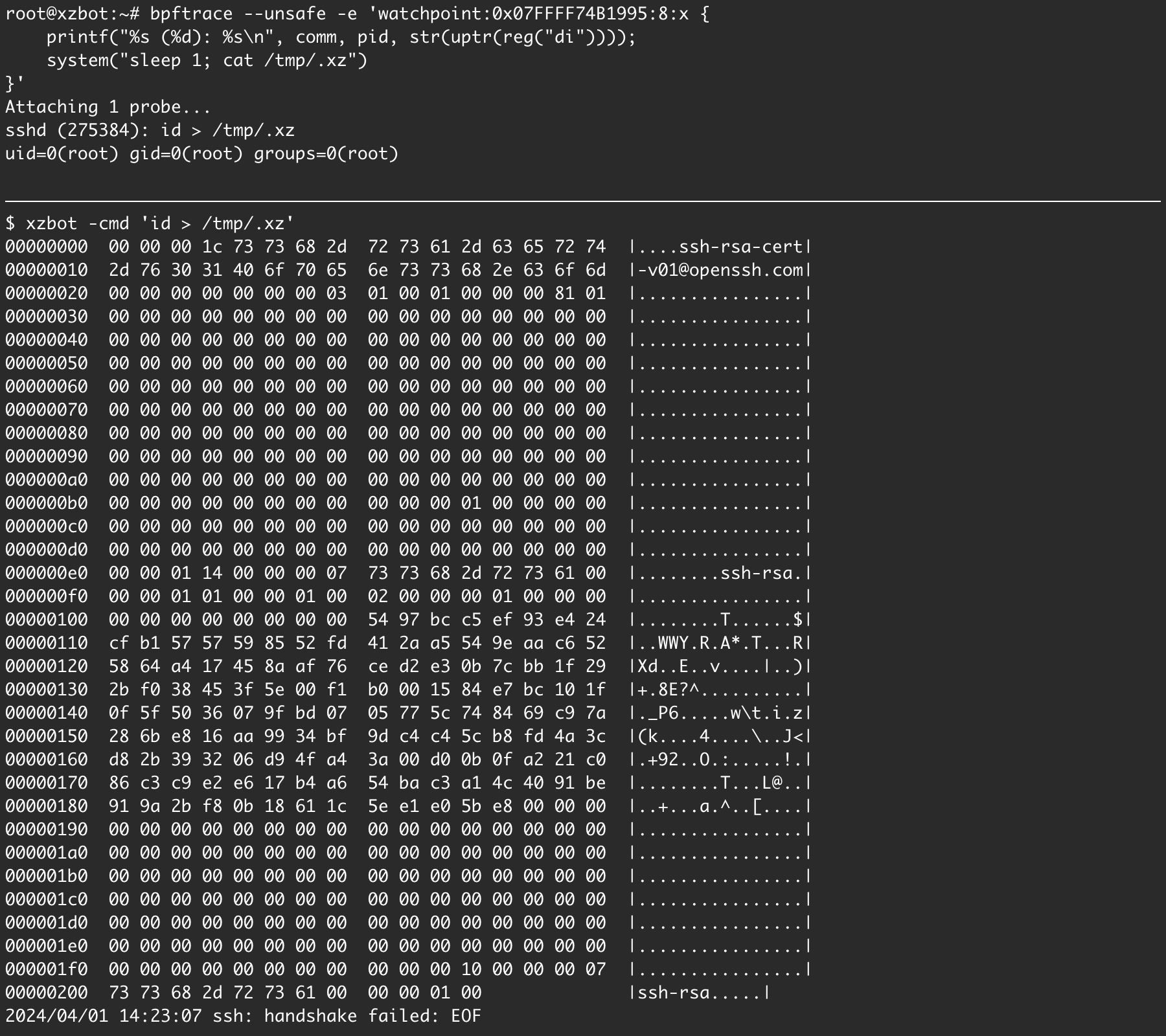 xzbot demo