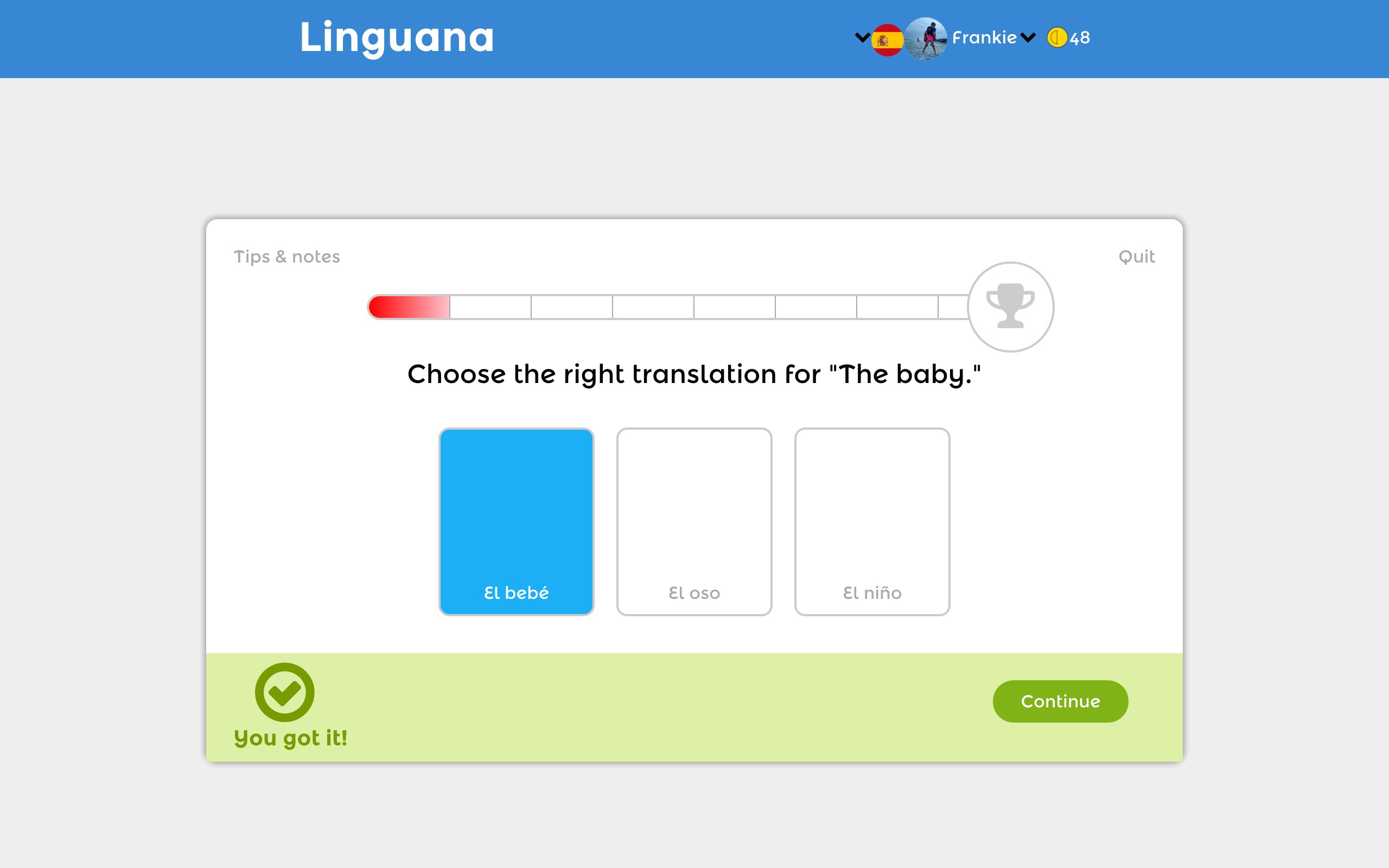 Image of Linguana Lesson