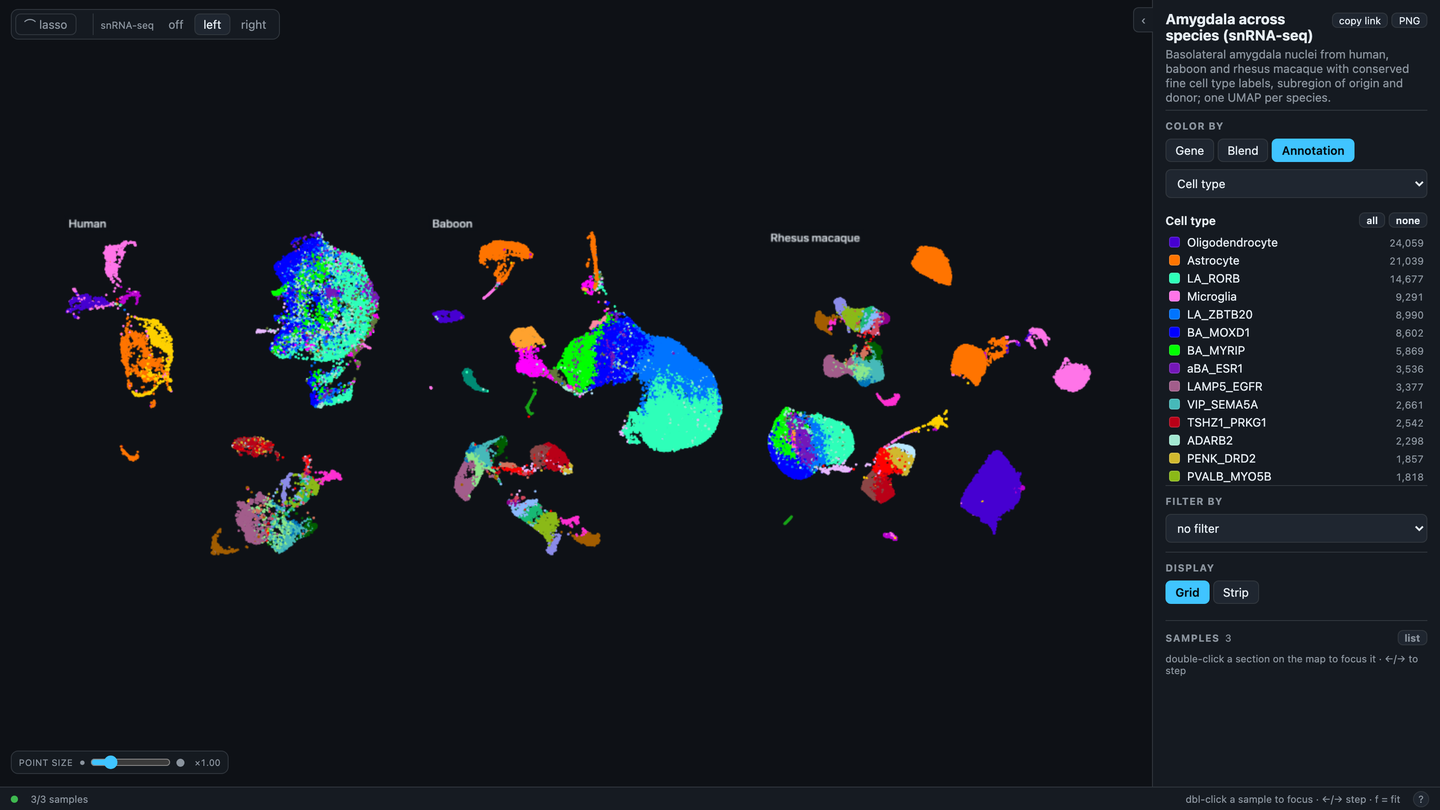 snRNA-seq UMAPs of three species sharing one cell type legend