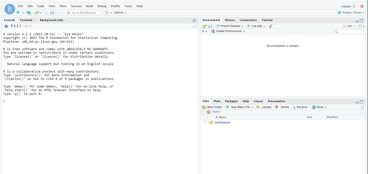 RStudio Screenshot 2