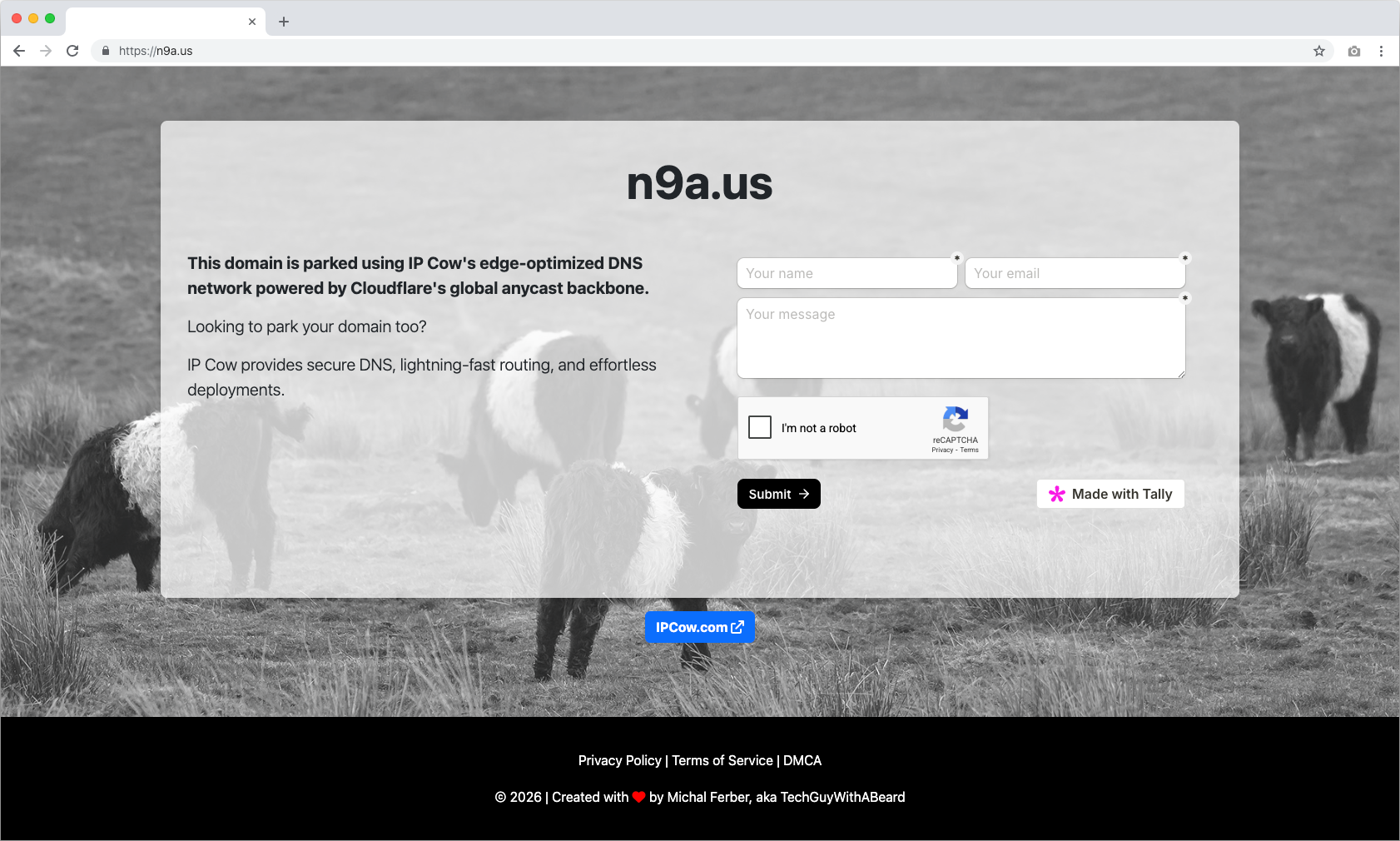 Parked Domain Preview