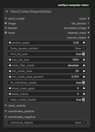 Sam2ContextSegmentation